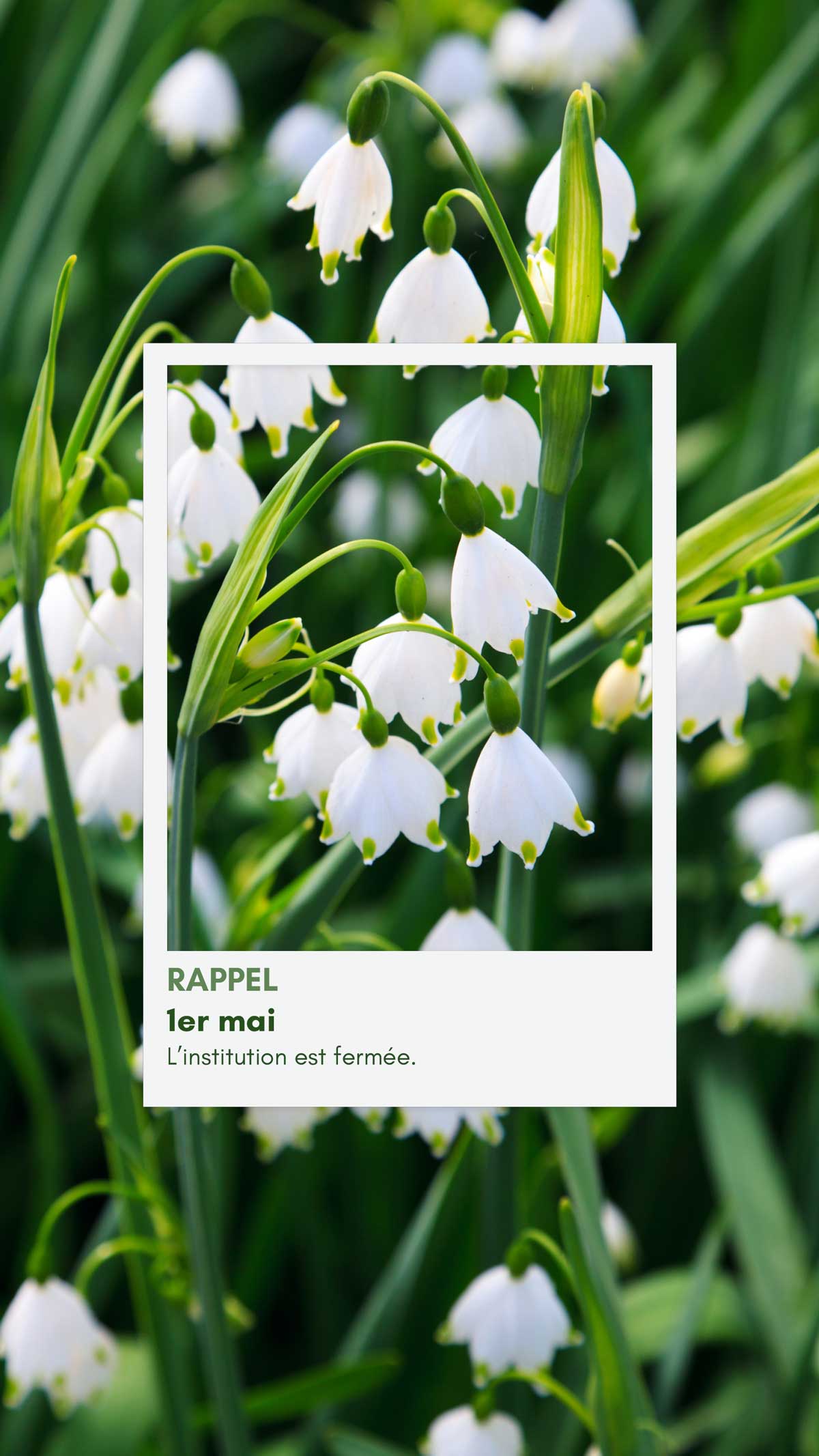 1er mai institution fermee